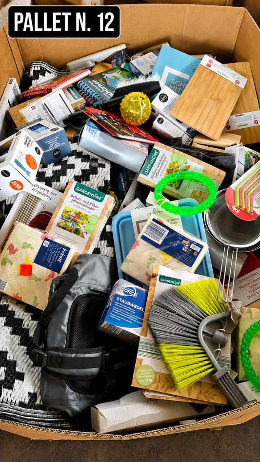 🚨 1000 PEZZI DI BAZAR IN UN SOLO PALLET 🚨