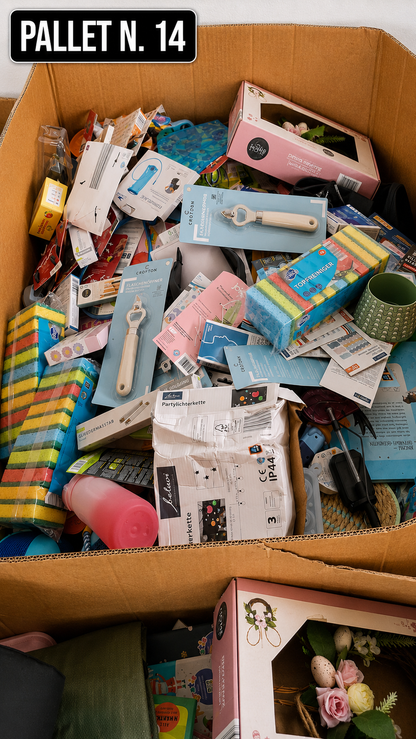 🚨 1000 PEZZI DI BAZAR IN UN SOLO PALLET 🚨